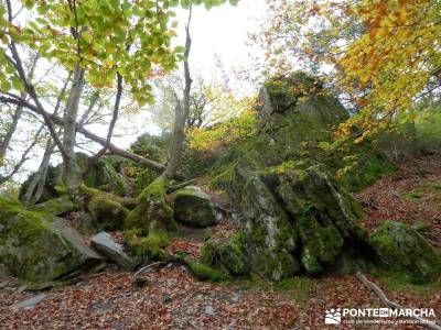 Hayedo de Tejera Negra [Serie Clásica];lugares de montaña definicion senderismo